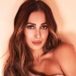 malaika arora biography wiki income affaris husband worth biodata profile