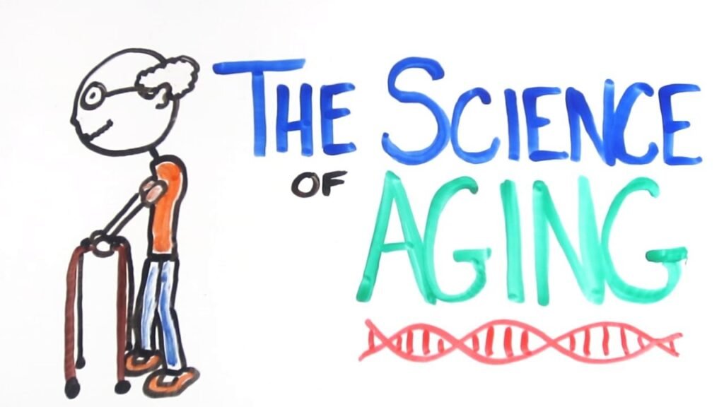 The science of aging and how to slow it down