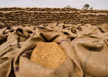 For FY24, the government has set fiscal deficit target of ₹17.87 trillion, or 5.9% of GDP