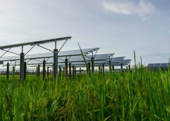 The Cabinet Committee on Economic Affairs (CCEA) chaired by Prime Minister Narendra Modi Wednesday approved Green Energy Corridor Phase-II – Inter-State Transmission System for 13 gigawatt renewable energy project in Ladakh.