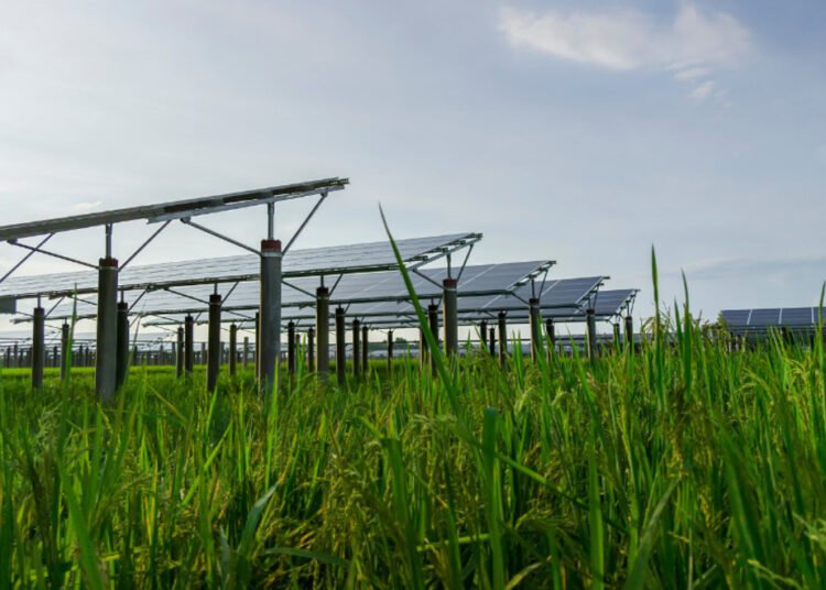 The Cabinet Committee on Economic Affairs (CCEA) chaired by Prime Minister Narendra Modi Wednesday approved Green Energy Corridor Phase-II – Inter-State Transmission System for 13 gigawatt renewable energy project in Ladakh.