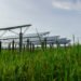 The Cabinet Committee on Economic Affairs (CCEA) chaired by Prime Minister Narendra Modi Wednesday approved Green Energy Corridor Phase-II – Inter-State Transmission System for 13 gigawatt renewable energy project in Ladakh.