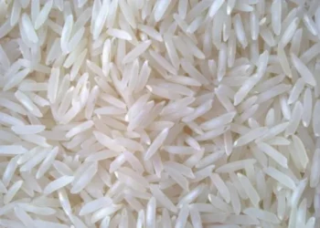 The government had earlier approved exports of limited quantities of non-basmati white rice to Bhutan, Mauritius, Singapore and the UAE.