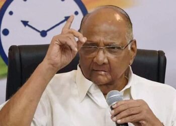 Union Minister Goyal rebukes Sharad Pawar for his views on terror
