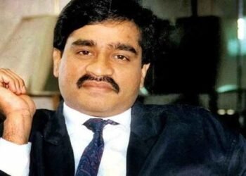 The land parcels are the underworld don's ancestral property and are located in Mumbake village in Maharashtra's Ratnagiri district.