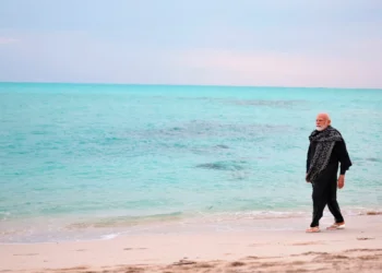 Experts say the Maldives tourism cannot afford to distance India and that its government’s swift action to suspend the officials and denounce their comments showed how much it values relations with New Delhi.