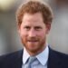 Prince Harry is uncomfortable with Camilla as Queen for the role. Harry's admiration for Queen Elizabeth II contrasts with his feelings towards Camilla's position.