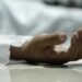 Autopsy and forensic analysis results for the death of the Indian family of 4 are awaited