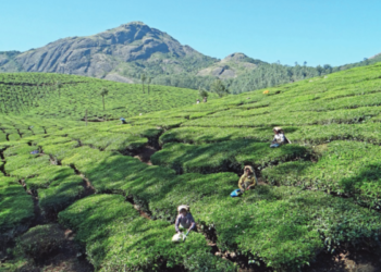 To compensate for the decline in traditional markets, India has been exploring new destinations